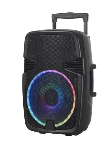 Boks me Bluetooth NDR A15 15 inch Karaoke me mikrofon për muzikë, festa dhe evente