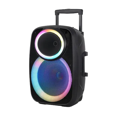 Boks me Bluetooth NDR A55 Karaoke me mikrofon dhe ndriçim RGB për muzikë, festa dhe karaoke