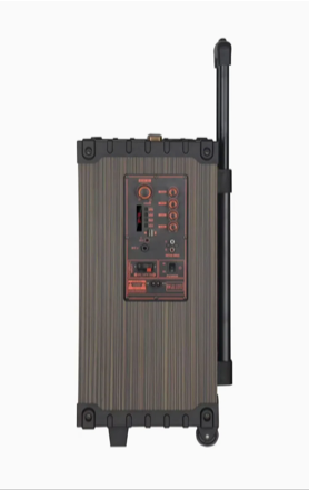 NDR-C12 altoparlant Party Bluetooth 50W me woofer 12 inç, bateri 3600mAh, Bluetooth, USB, TF, Radio FM, TWS, funksion Karaoke, ekran të integruar, mikrofon pa tela dhe telekomandë. Ideal për festa, evente, karaoke dhe përdorim në ambiente të brendshme dhe të jashtme. 